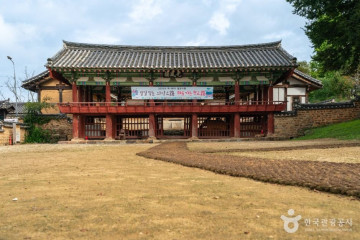 의성읍 도서동의 회나무 여행 추천 - 메고지고