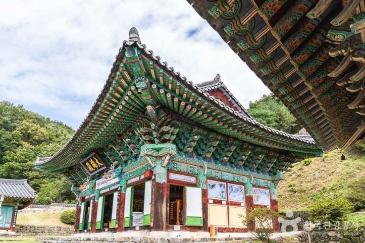 비암사(세종) 여행 추천 - 메고지고