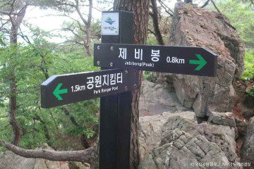 충주호 유람선 여행 추천 - 메고지고