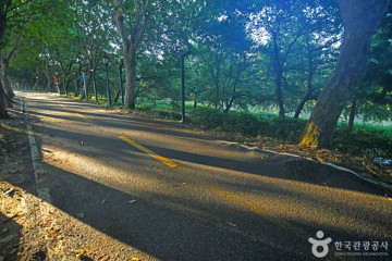 담양국수거리 여행 추천 - 메고지고