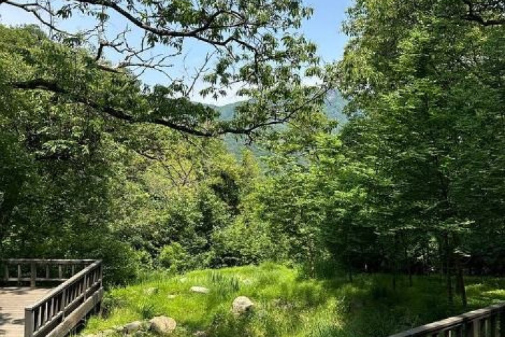 서울대공원 산림욕장 여행 추천 - 메고지고