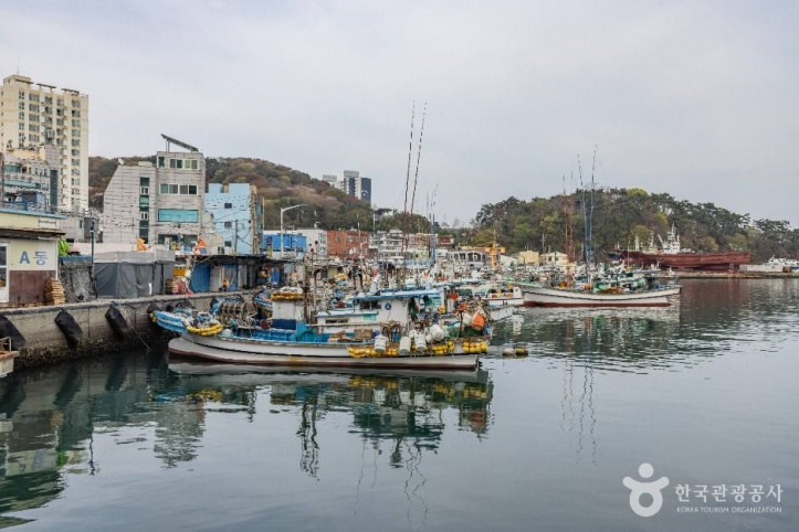다대포항 여행 추천 - 메고지고