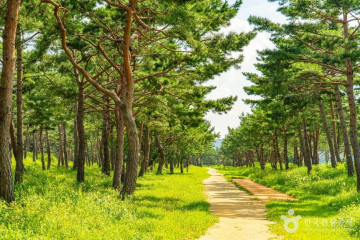웅비탑 여행 추천 - 메고지고