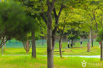주식회사조아지구 여행 추천 - 메고지고