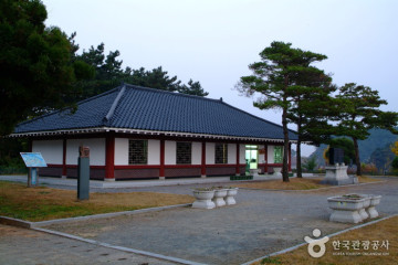 한진포구 여행 추천 - 메고지고
