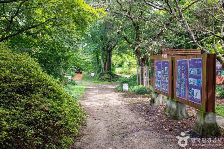 기청산식물원 여행 추천 - 메고지고