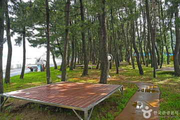 풍류해수욕장 여행 추천 - 메고지고
