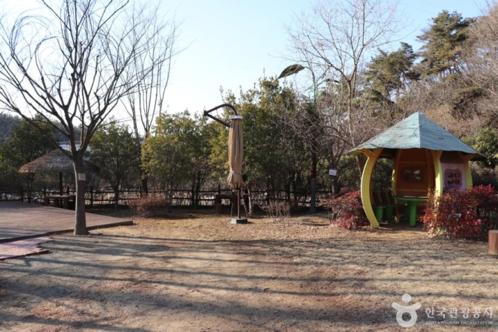 입화산자연휴양림 여행 추천 - 메고지고