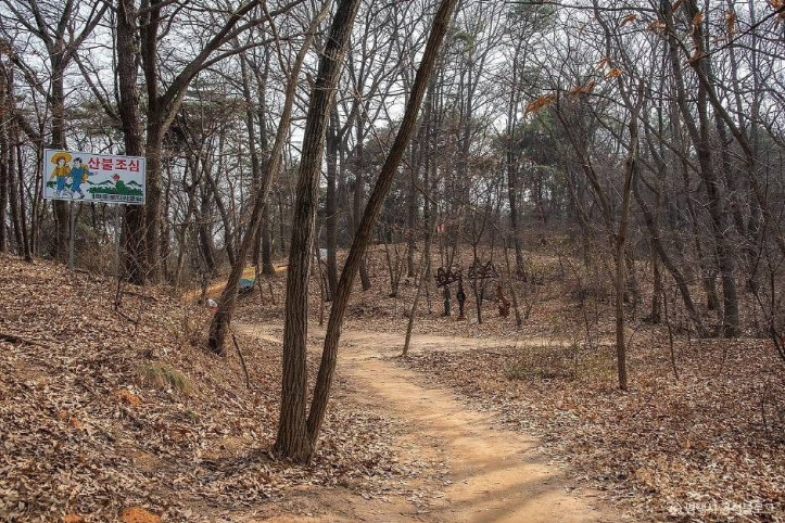 마안산 여행 추천 - 메고지고