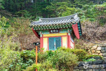 참샘골 호박농원 여행 추천 - 메고지고