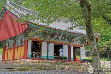 화원 오시아노 관광단지 여행 추천 - 메고지고