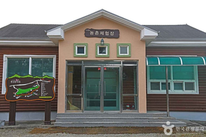 강릉 복사꽃마을 여행 추천 - 메고지고