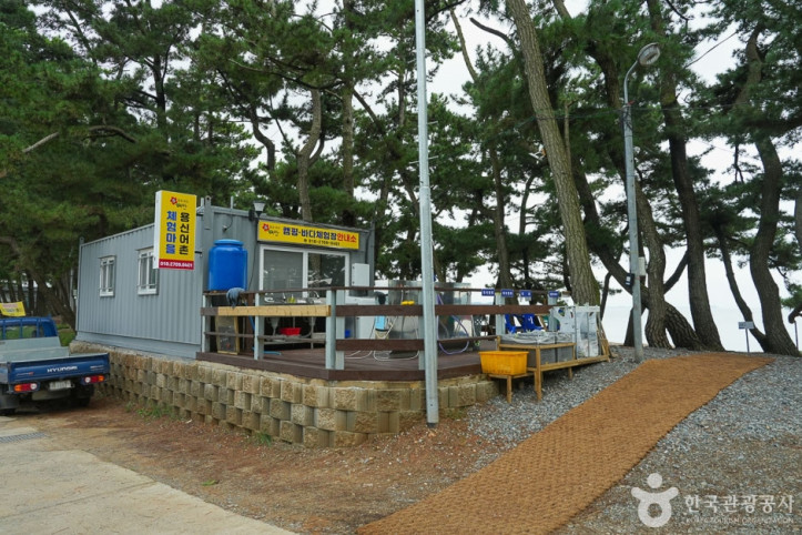 용신어촌체험마을 여행 추천 - 메고지고