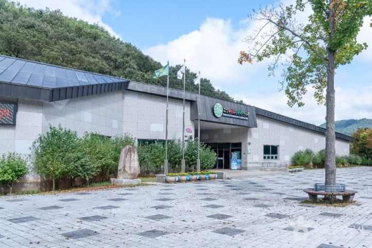 보령 무궁화수목원 여행 추천 - 메고지고
