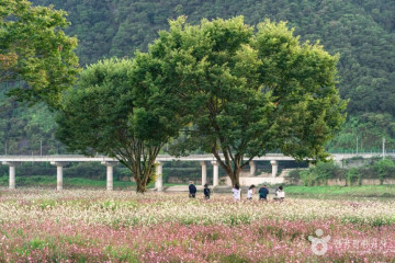 도담삼봉 여행 추천 - 메고지고