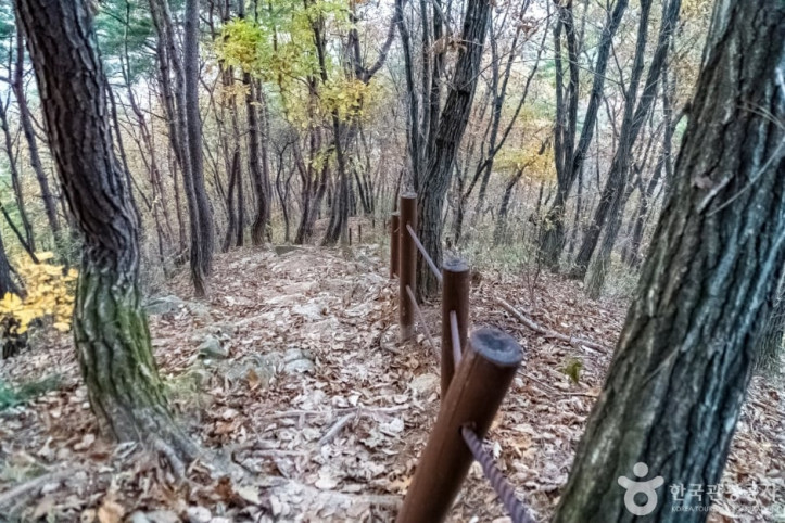 배부른산 여행 추천 - 메고지고