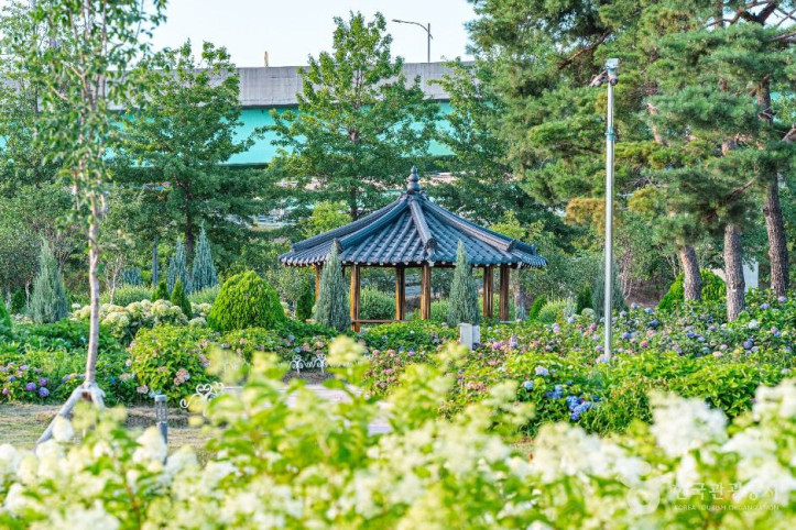 구리한강시민공원(코스모스공원) 여행 추천 - 메고지고
