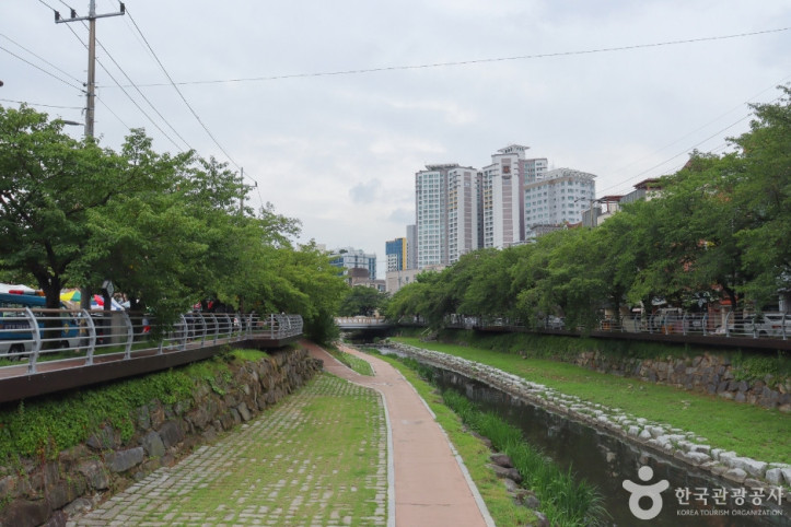 무거천 벚꽃길 여행 추천 - 메고지고