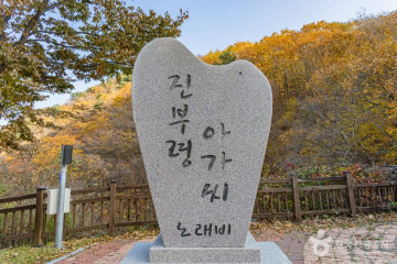 진부리 마을관리휴양지 여행 추천 - 메고지고