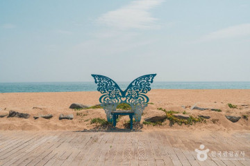부흥해변 여행 추천 - 메고지고