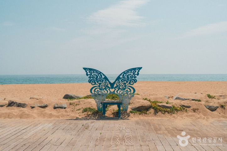 장사해수욕장 여행 추천 - 메고지고