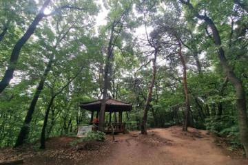 서울교통공사 지축차량사업소 여행 추천 - 메고지고