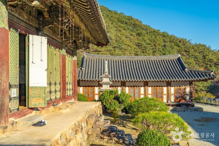 장육사 여행 추천 - 메고지고
