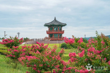 의성 제오리 공룡발자국 화석산지 여행 추천 - 메고지고