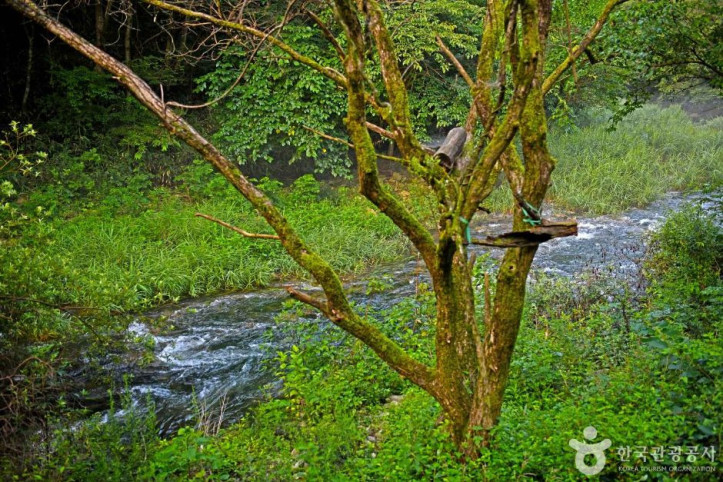 덕산계곡 여행 추천 - 메고지고