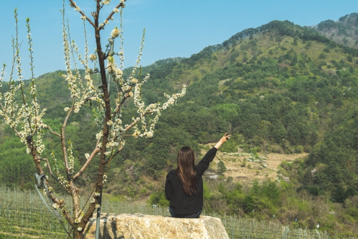 소백명품서클 여행 추천 - 메고지고