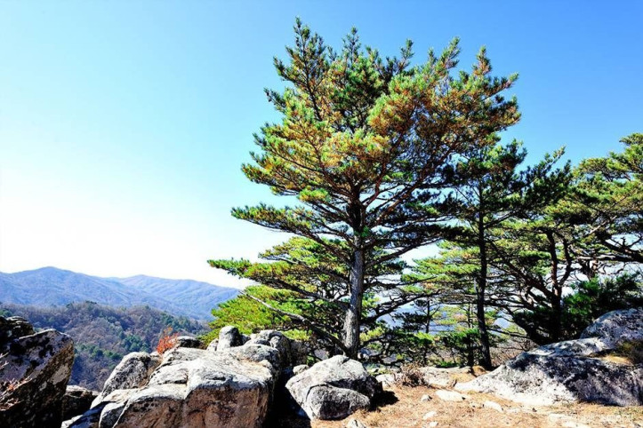 괘병산(정선) 여행 추천 - 메고지고