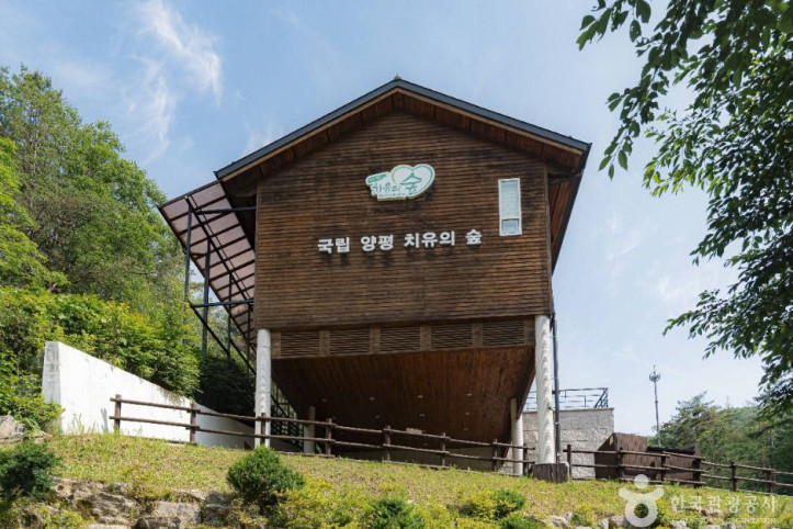 국립양평치유의숲 여행 추천 - 메고지고