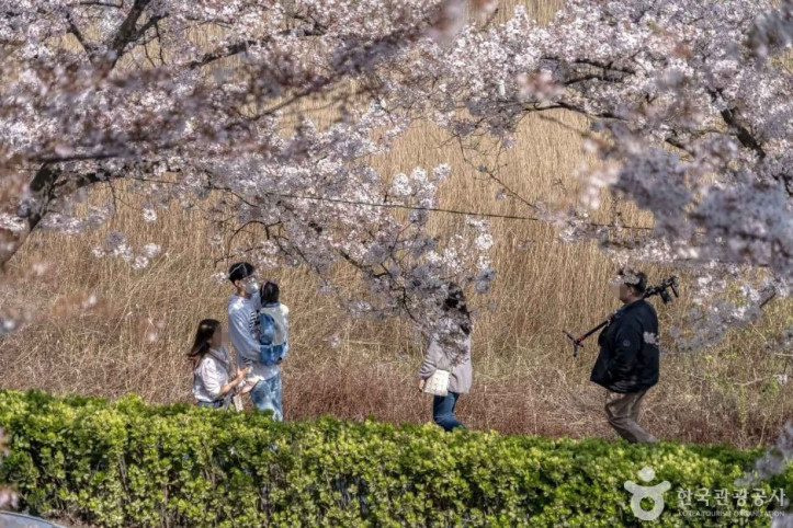 경포도립공원 여행 추천 - 메고지고