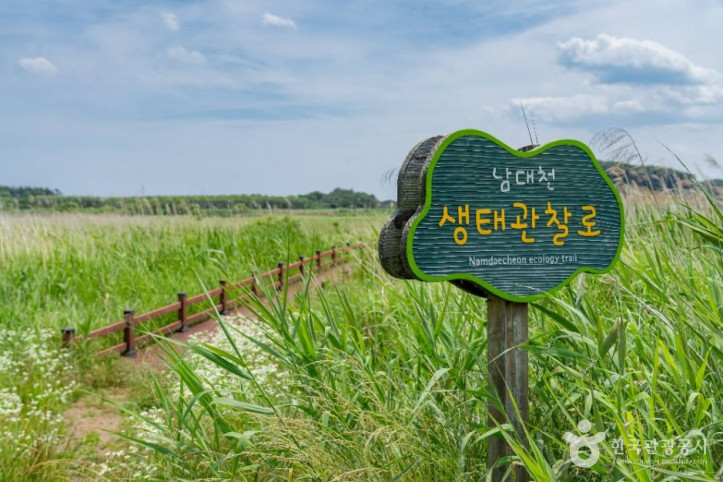 남대천 생태관찰로 여행 추천 - 메고지고