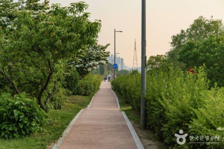 잠원한강공원 여행 추천 - 메고지고