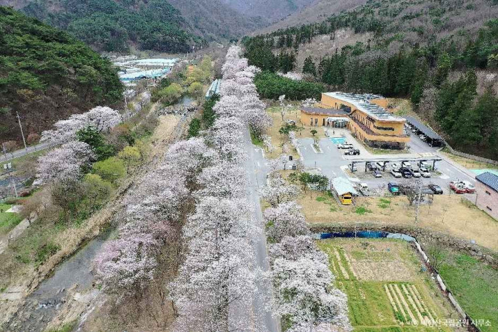 내장산국립공원 여행 추천 - 메고지고