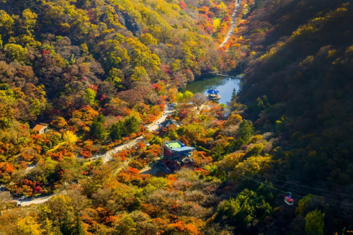 우화정(내장산) 여행 추천 - 메고지고