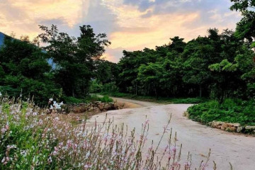 천관산 문학공원 여행 추천 - 메고지고