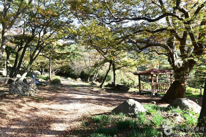 고산 여행 추천 - 메고지고