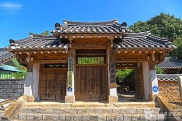 무안 청천리 팽나무와 개서어나무 숲 여행 추천 - 메고지고