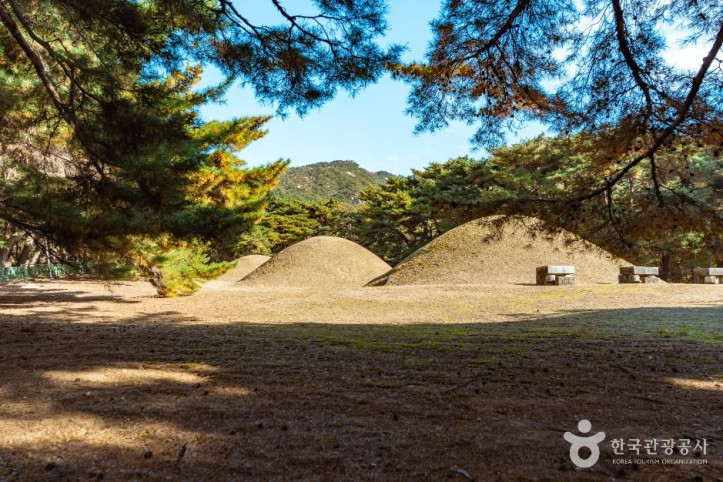 경주 배동 삼릉 여행 추천 - 메고지고