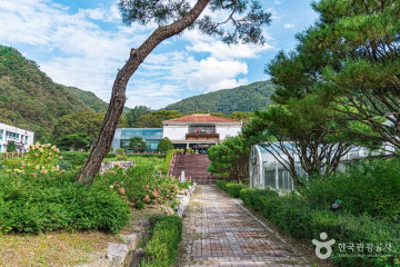 대아저수지(대아호) 여행 추천 - 메고지고