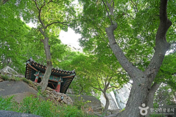 다울관광농원 여행 추천 - 메고지고