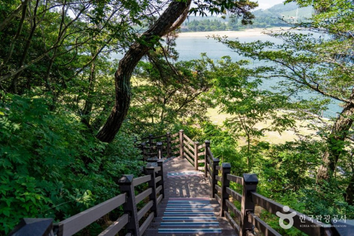 배알도 섬 정원 여행 추천 - 메고지고