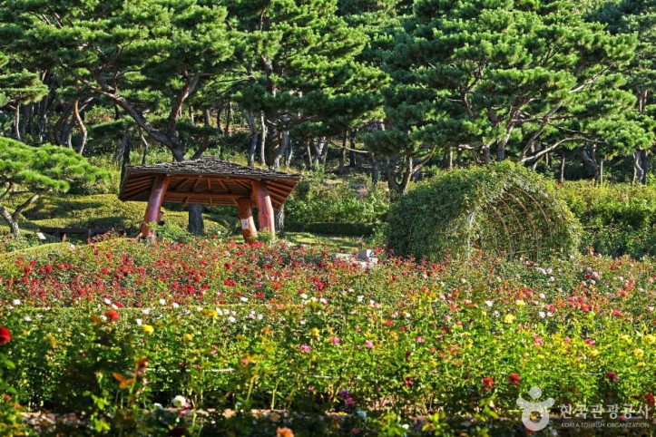 계양산장미원 여행 추천 - 메고지고