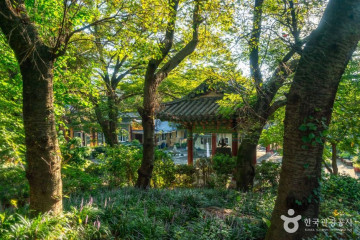무학산 여행 추천 - 메고지고