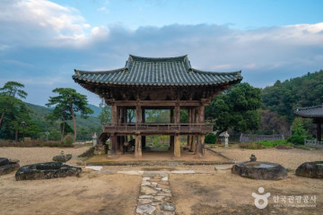 의성 월소리 소나무 여행 추천 - 메고지고