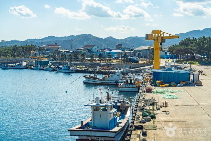 기성항 여행 추천 - 메고지고