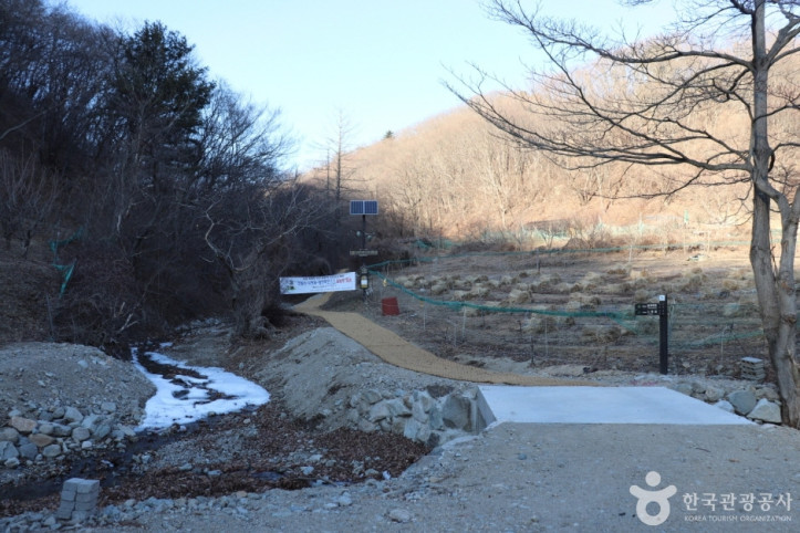 경주 왕의 길 여행 추천 - 메고지고
