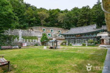 울산 애견 운동공원 여행 추천 - 메고지고